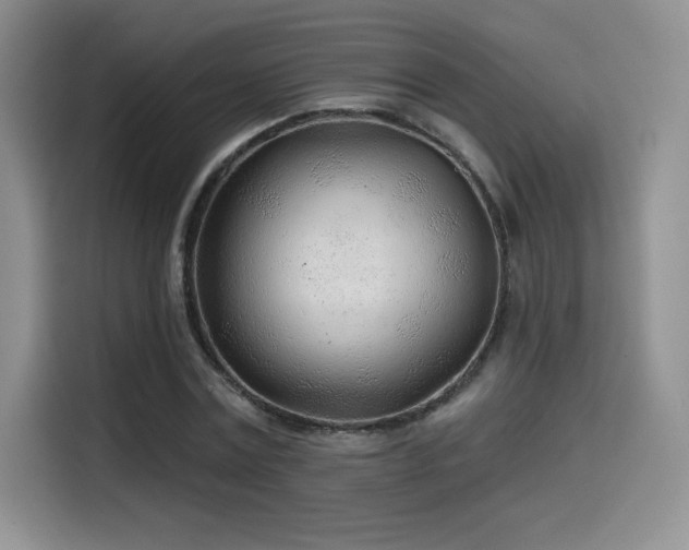 X0000114570779200910191502