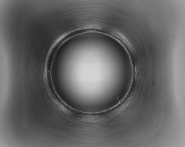 X0000114570780200910191502