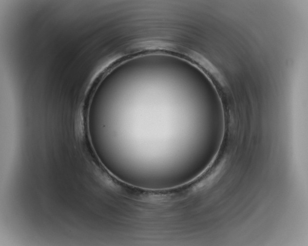 X0000114570782200910191502