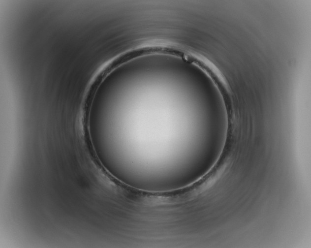 X0000114570783200910191502