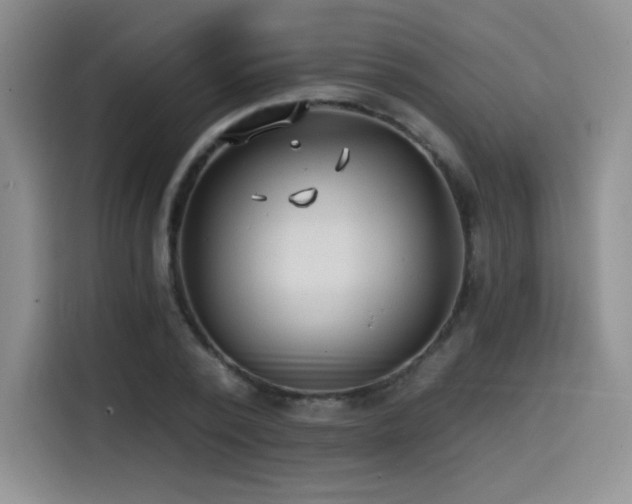 X0000114570784200910191502