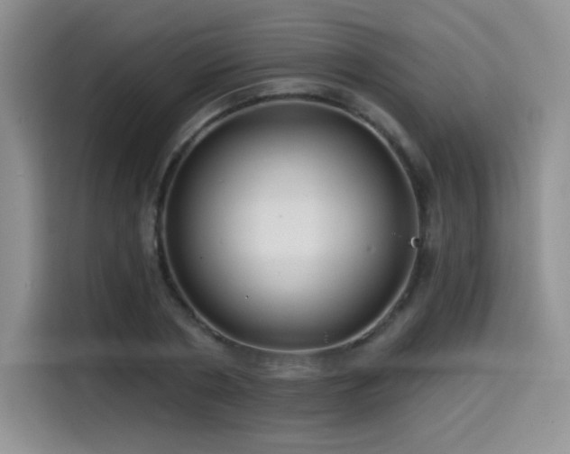 X0000114570786200910191502