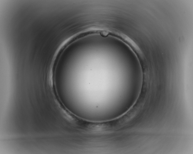 X0000114570791200910191502