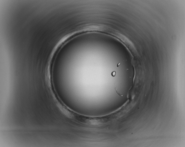 X0000114570792200910191502