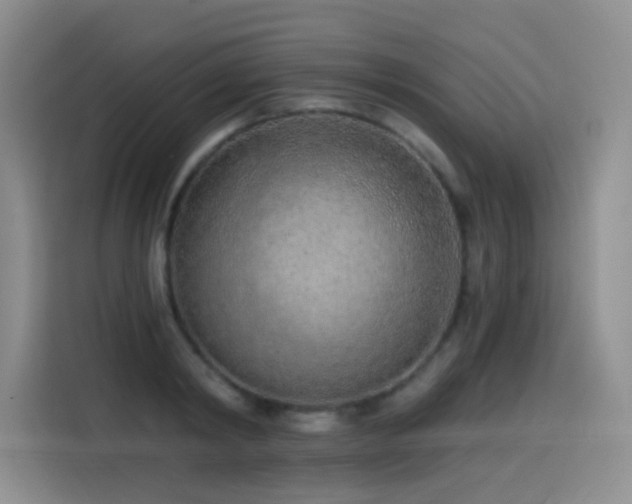 X0000114570798200910191502