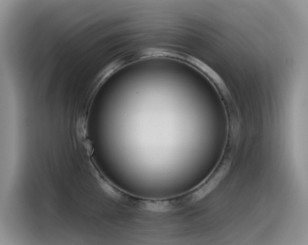 X0000114570809200910191502