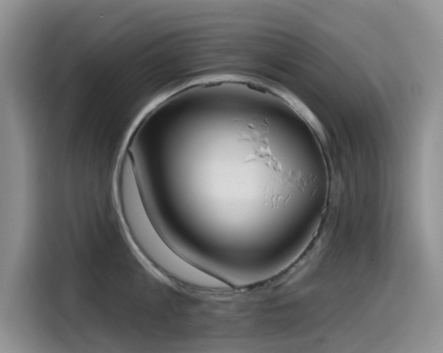 X0000114570813200910191502