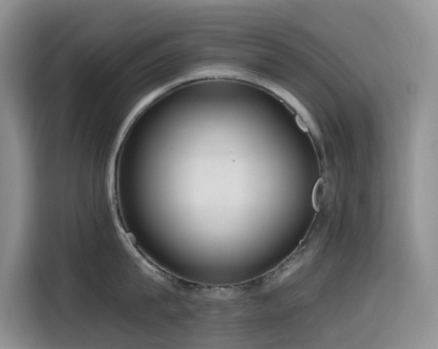 X0000114570815200910191502