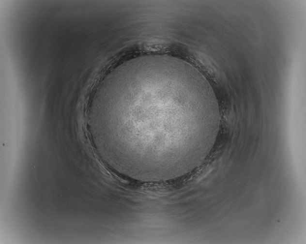X0000114570817200910191501