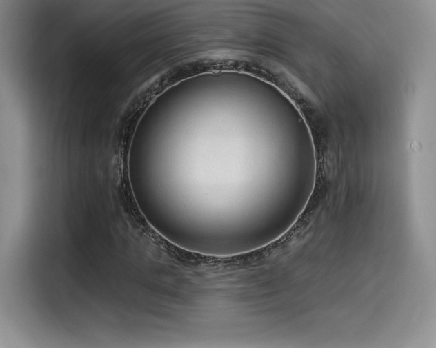 X0000114570821200910191501
