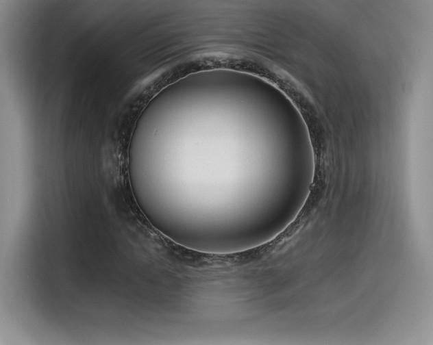X0000114570822200910191501