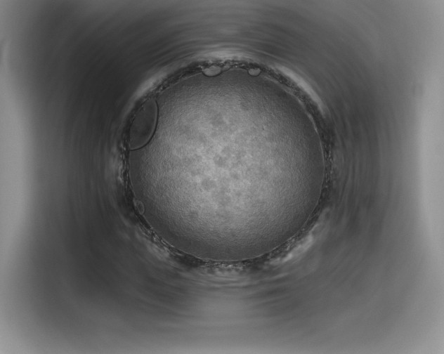 X0000114570823200910191501
