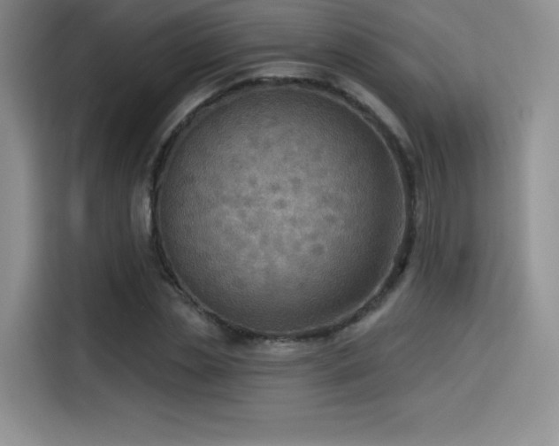 X0000114570829200910191501