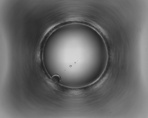 X0000114570830200910191501