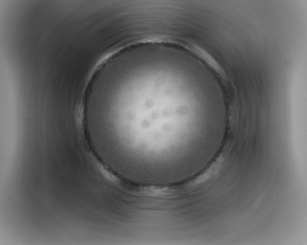 X0000114570831200910191501