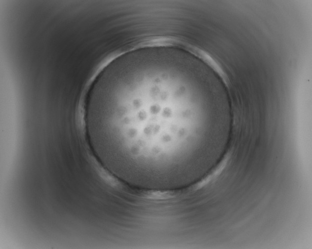 X0000114570835200910191501
