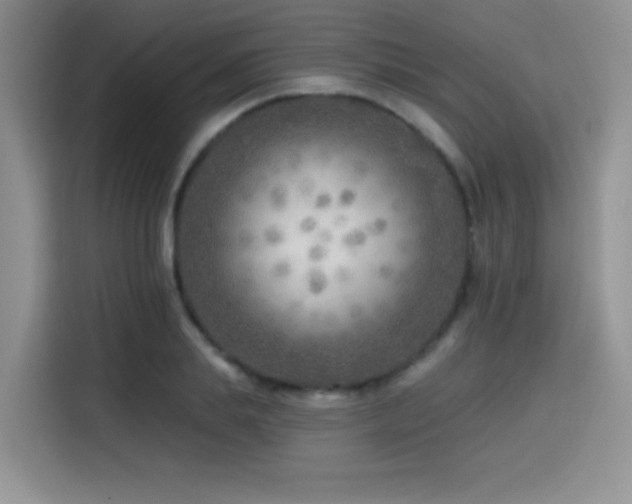 X0000114570839200910191501
