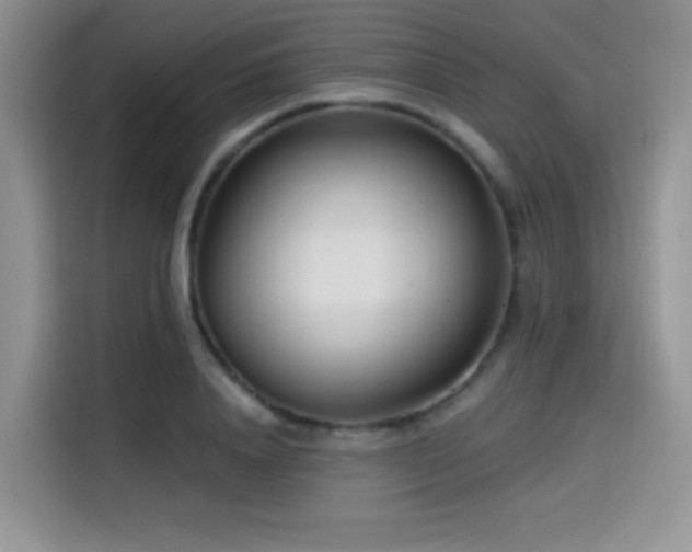 X0000114570840200910191501