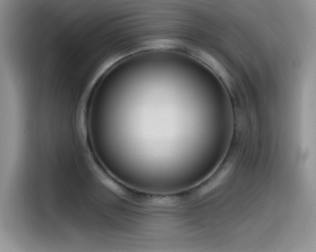 X0000114570843200910191501