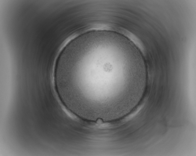 X0000114570845200910191501