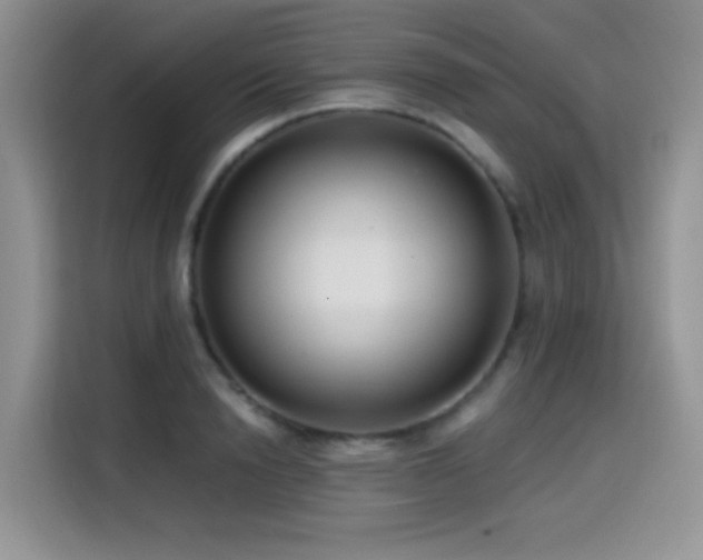 X0000114570846200910191502