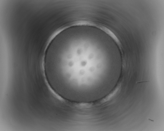 X0000114570847200910191502