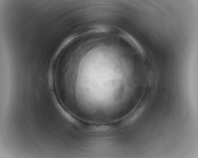 X0000114570851200910191502