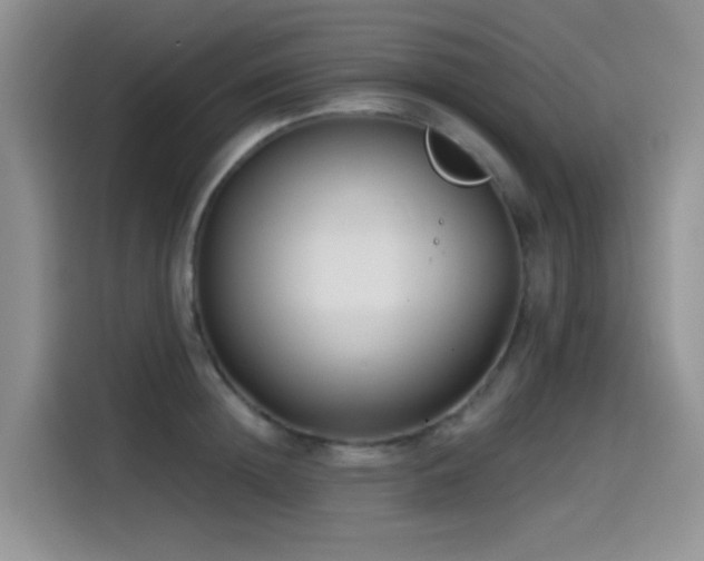 X0000114570852200910191502