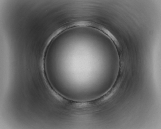 X0000114570853200910191502