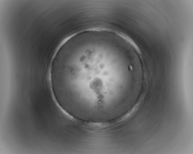 X0000114570855200910191502