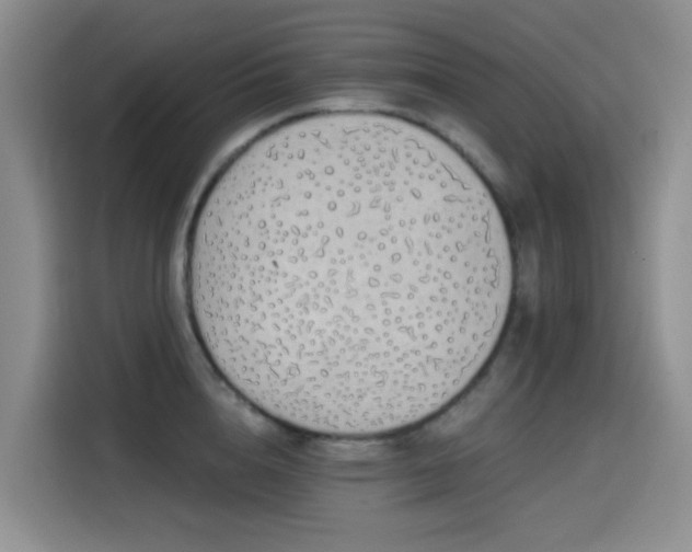 X0000114570856200910191502