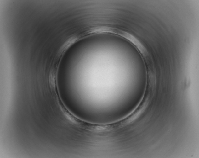 X0000114570857200910191502