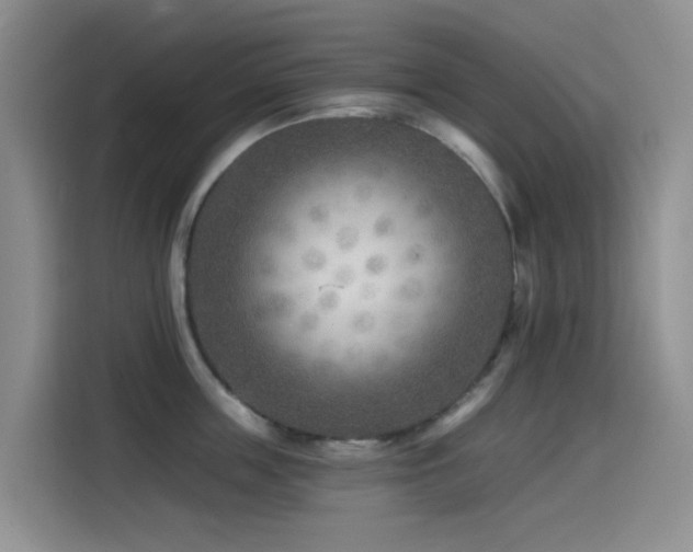 X0000114570859200910191502