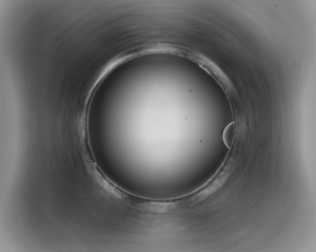 X0000114570860200910191502