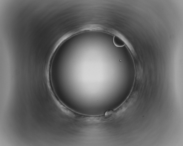 X0000114570861200910191502