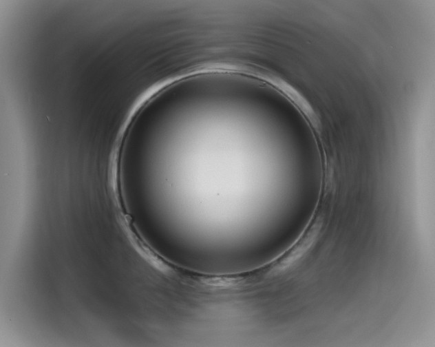 X0000114570862200910191502