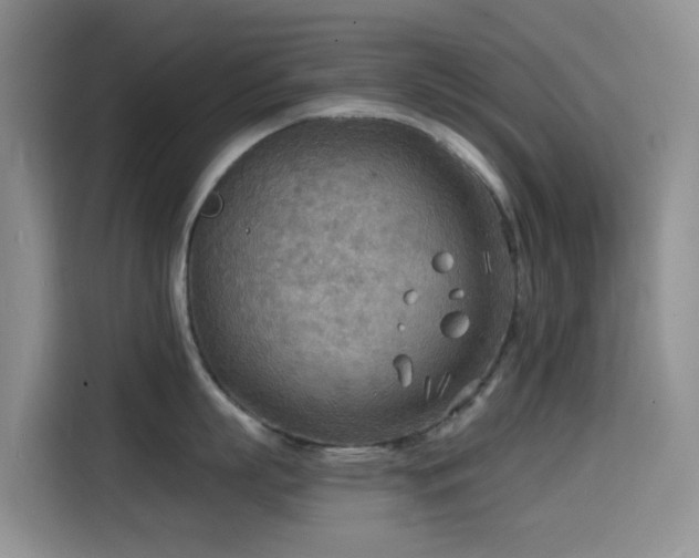 X0000114570863200910191502