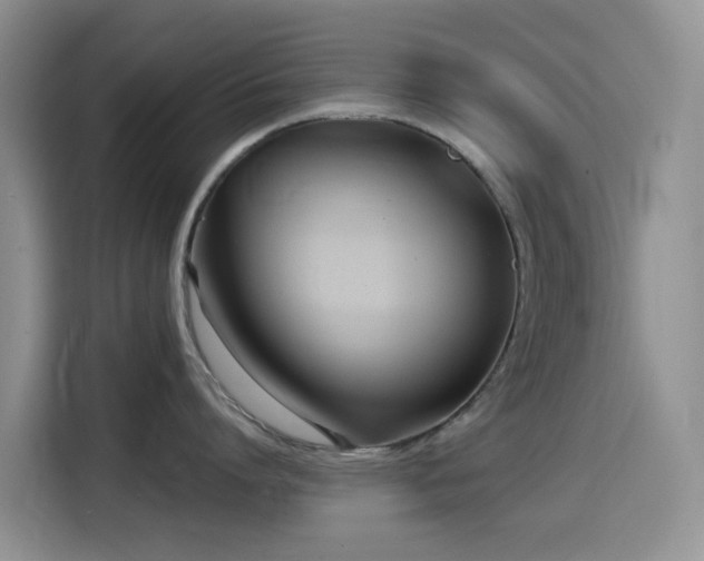 X0000114570864200910191502