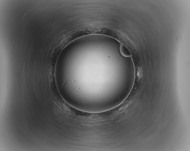 X0000114570867200910191501