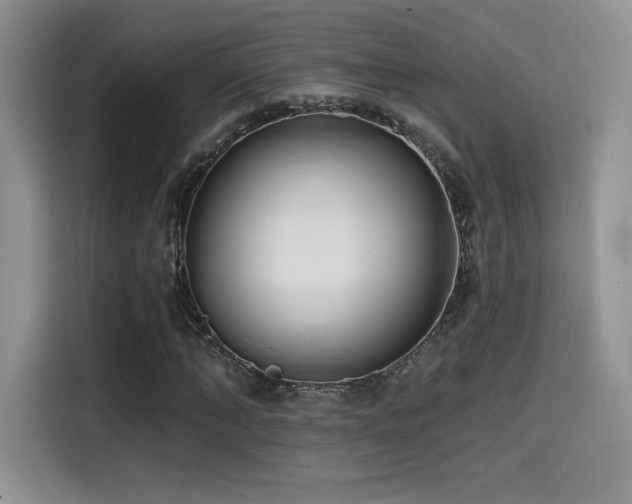 X0000114570870200910191501