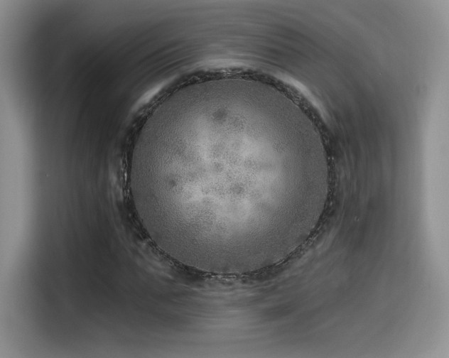 X0000114570871200910191501