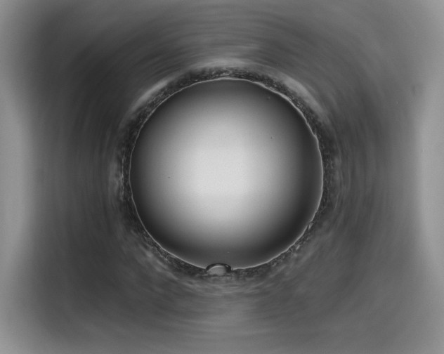 X0000114570872200910191501
