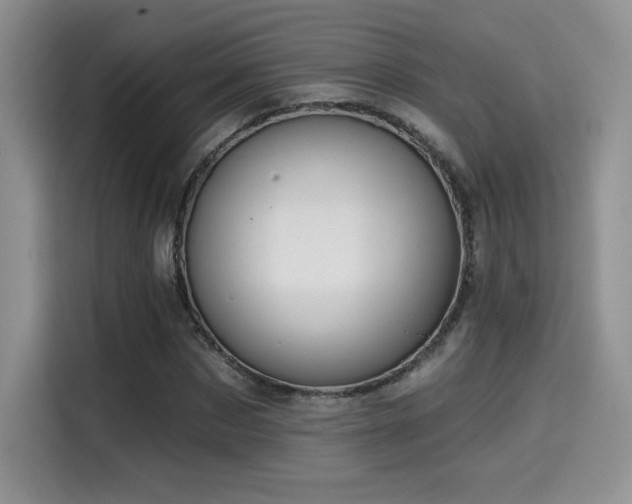 X0000114570873200910191501