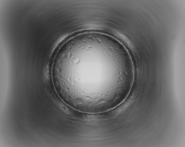 X0000114570875200910191501