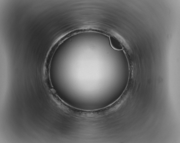 X0000114570876200910191501