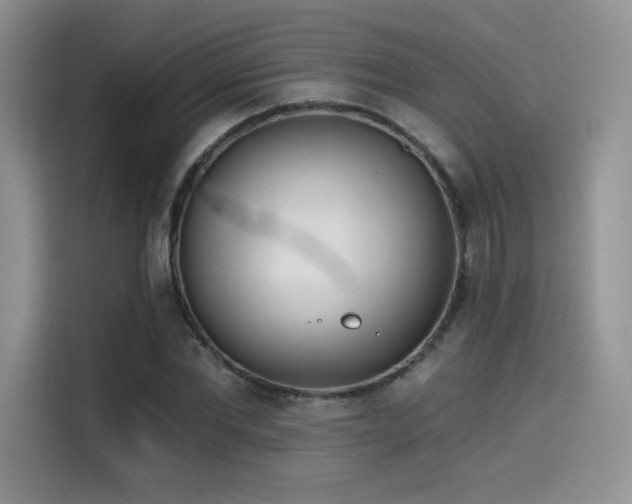 X0000114570877200910191501