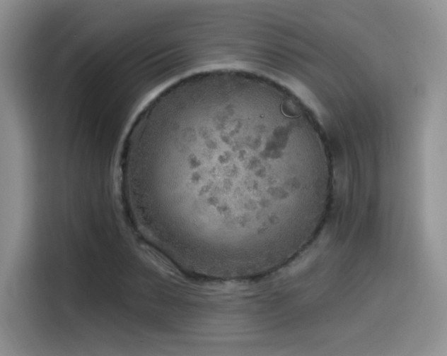 X0000114570879200910191501
