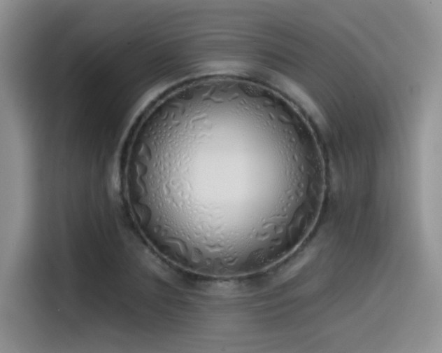 X0000114570883200910191501