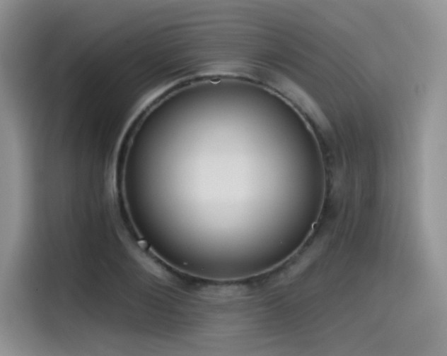 X0000114570884200910191501
