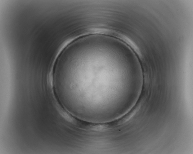 X0000114570891200910191501